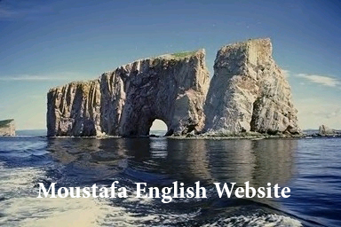 moustafa english website